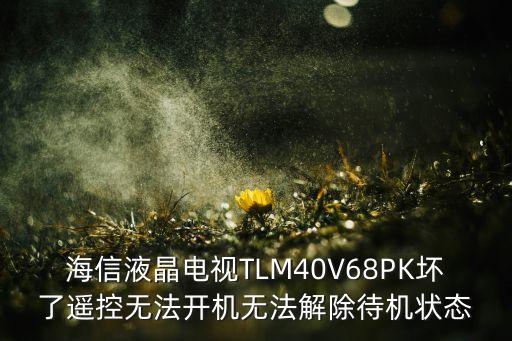 海信液晶电视TLM40V68PK坏了遥控无法开机无法解除待机状态