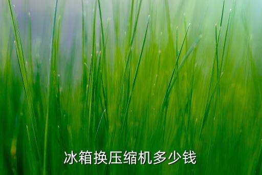 冰箱换压缩机多少钱