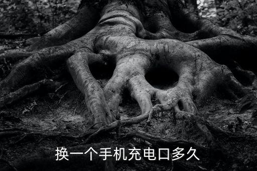 换一个手机充电口多久
