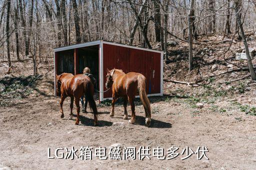 LG冰箱电磁阀供电多少伏