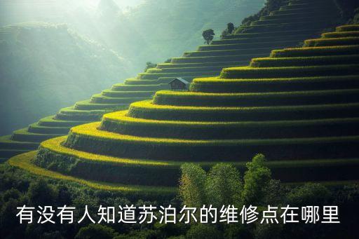 有没有人知道苏泊尔的维修点在哪里