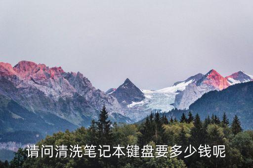 笔记本键盘清洗多少钱，请人清洗下笔记本键盘多少钱