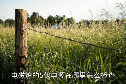 电磁炉的5伏电源在哪里怎么检查