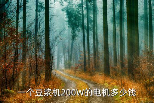 一个豆浆机200W的电机多少钱