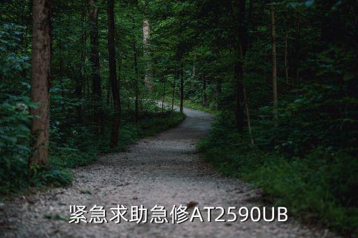 王牌at2590ub电源管型号多少，TCL王牌彩电AT2590UB电路图图纸求助