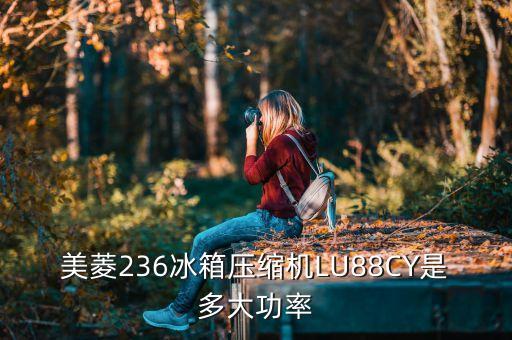 美菱236冰箱压缩机LU88CY是多大功率