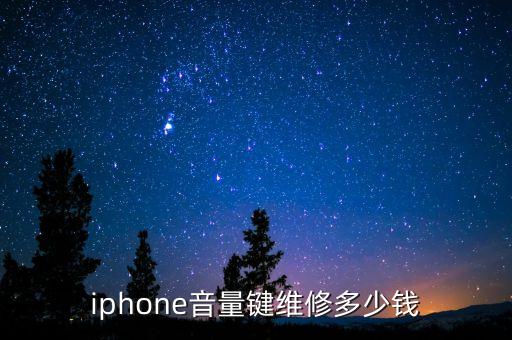 苹果音量键失灵多少钱，iphone6音量键失灵 维修多少钱