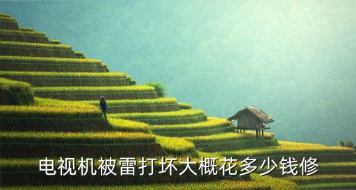 电视机被雷打坏大概花多少钱修