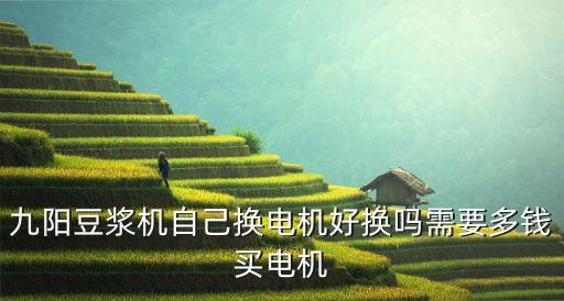 九阳豆浆机自己换电机好换吗需要多钱买电机