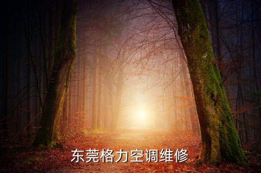 东莞格力空调维修