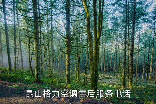 昆山格力空调售后服务电话
