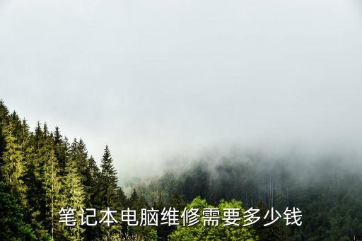 笔记本电脑维修需要多少钱