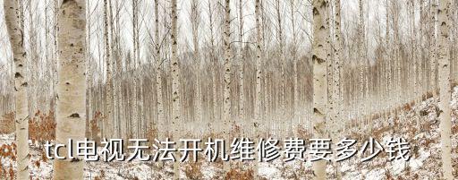 tcl电视无法开机维修费要多少钱