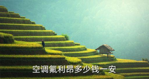 空调氟利昂多少钱一安
