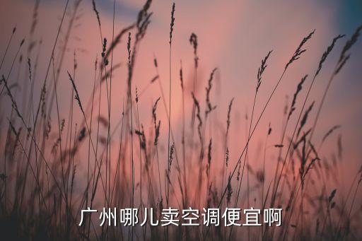 广州哪儿卖空调便宜啊