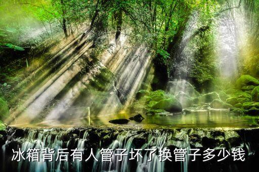 冰箱背后有人管子坏了换管子多少钱