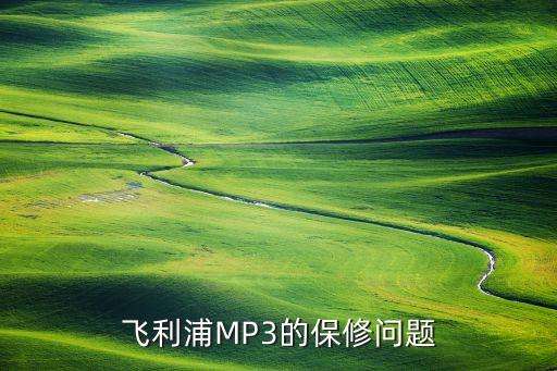 飞利浦MP3的保修问题