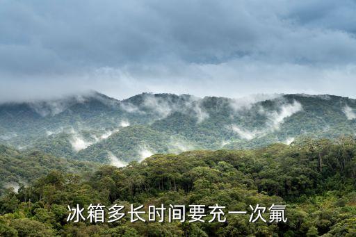 冰箱多长时间要充一次氟