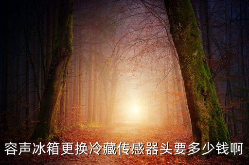 容声冰箱更换冷藏传感器头要多少钱啊