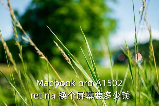 Macbook pro A1502 retina 换个屏幕要多少钱