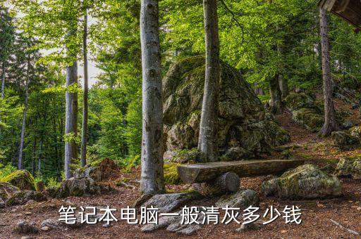 笔记本电脑一般清灰多少钱