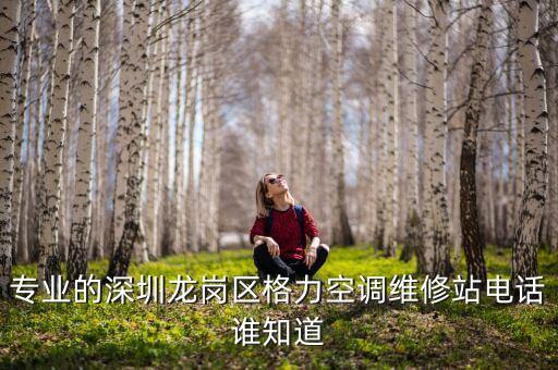 深圳龙岗空调维修电话是多少时间，专业的深圳龙岗区格力空调维修站电话谁知道