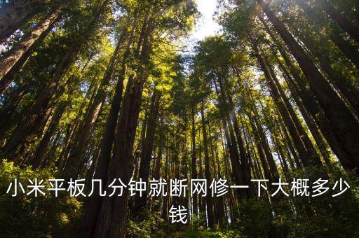 小米平板几分钟就断网修一下大概多少钱