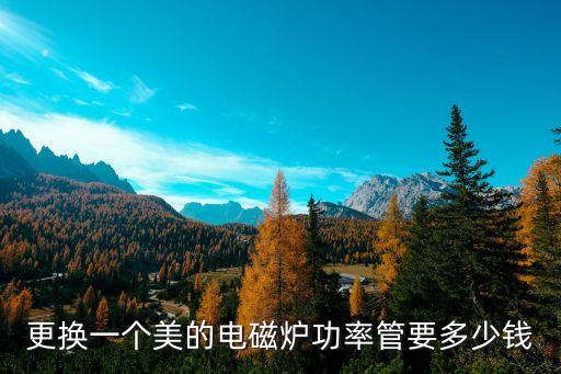 更换一个美的电磁炉功率管要多少钱