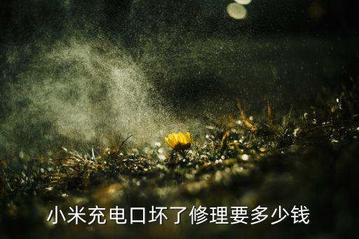 修小米充电接口多少钱，小米充电口坏了修理要多少钱