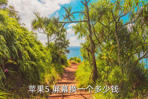 苹果5 屏幕换一个多少钱