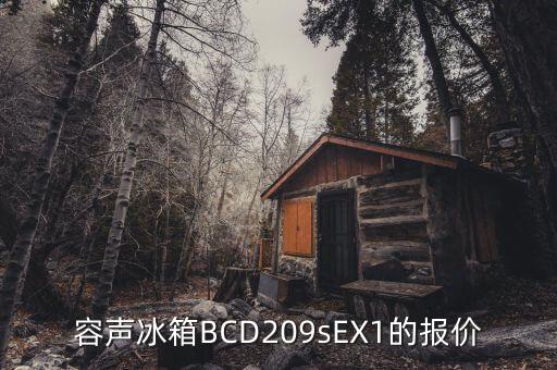 BCD一209S E多少瓦，容声bcd209s e冰箱每小时耗电量是多少