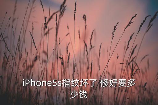 iPhone5s指纹坏了 修好要多少钱