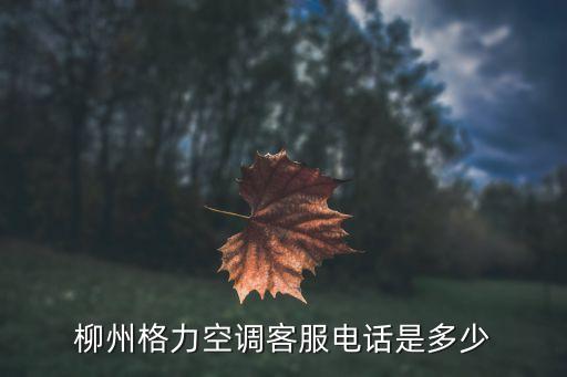 格力售后电话多少钱，柳州格力空调客服电话是多少