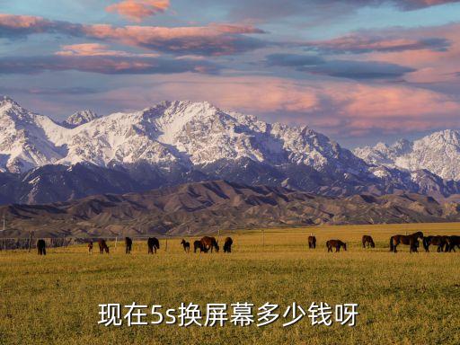 修个5s屏多少钱啊，苹果5s换屏多少钱