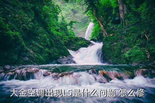 大金空调出现L5是什么问题 怎么修
