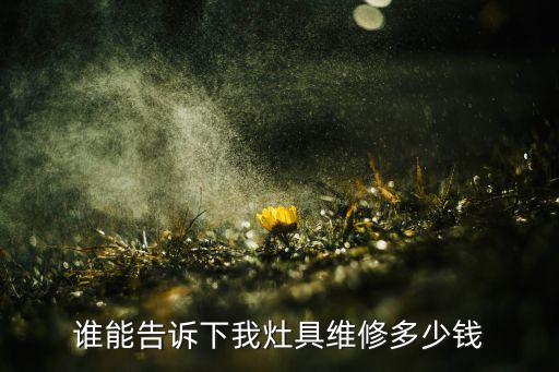 天然气灶台维修价格是多少钱，燃气灶的脉冲坏了换新的要多少钱