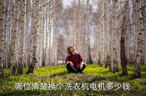 哪位清楚换个洗衣机电机多少钱