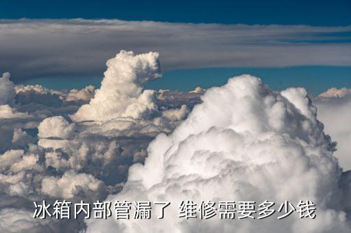 冰箱内部管漏了 维修需要多少钱