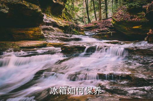冰箱如何保养