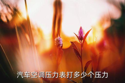 汽车空调压力表打多少个压力