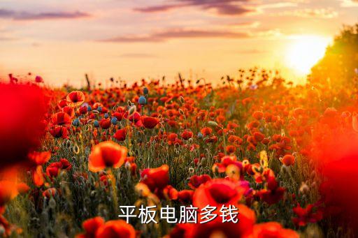 平板电脑多钱