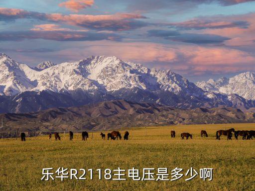 乐华R2118主电压是多少啊