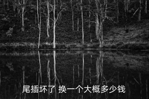 尾插坏了 换一个大概多少钱