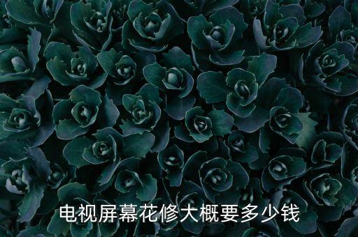 电视屏幕花修大概要多少钱