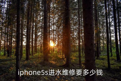iphone5s进水维修要多少钱