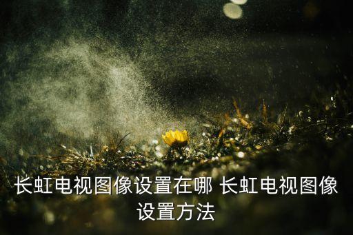 长虹电视如何设置开机画面，长虹电视图像设置在哪 长虹电视图像设置方法