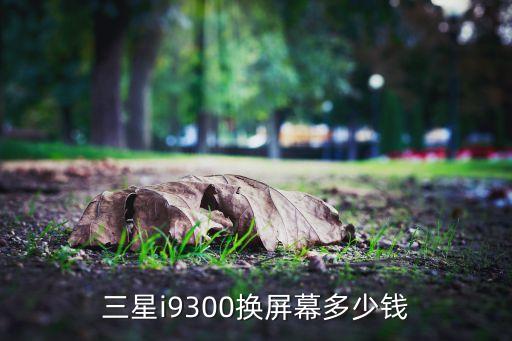三星i9300的屏幕多少钱，三星i9300换个屏多钱