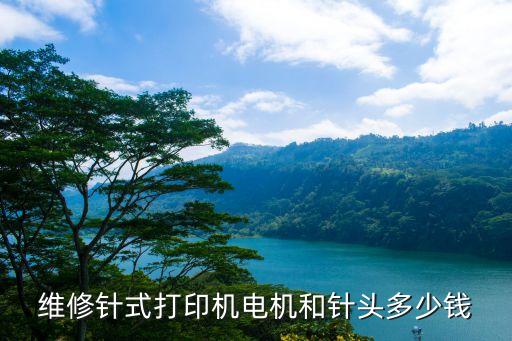 维修针式打印机电机和针头多少钱