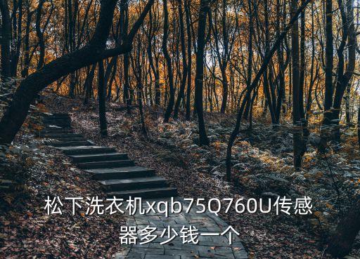 松下自动洗衣机感应器多少钱，松下自动门感应器一个多少钱要最好的