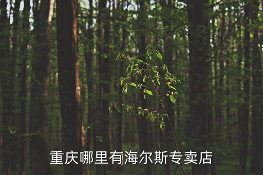 海尔重庆专卖店电话是多少钱，重庆哪里有海尔斯专卖店